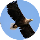 RANJANA SAKPAL profile picture