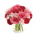 simran sahni profile picture